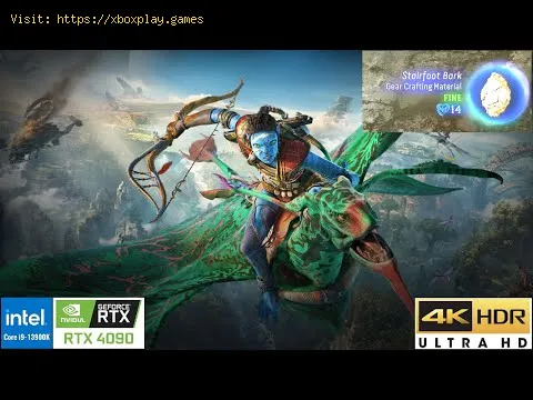 Video preview