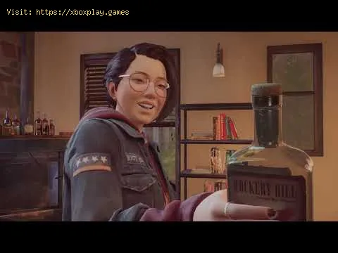 Video preview