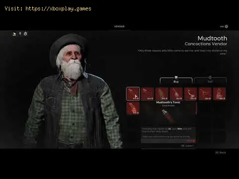 Video preview