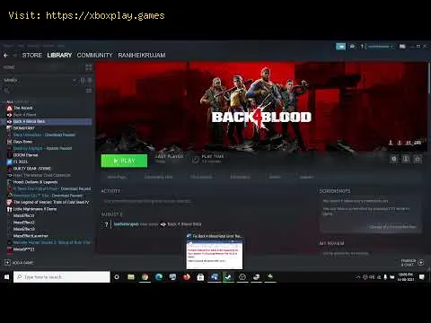 Video preview