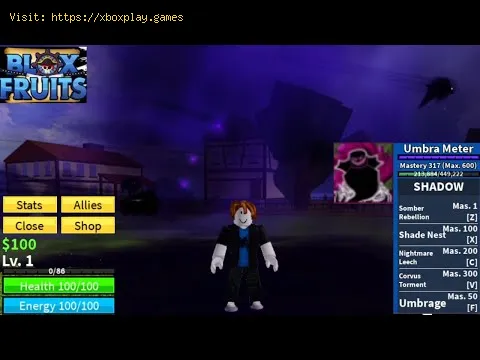 Video preview
