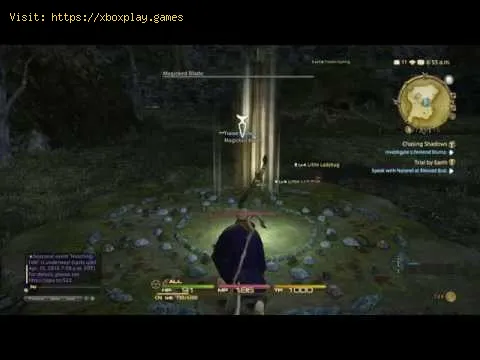Video preview
