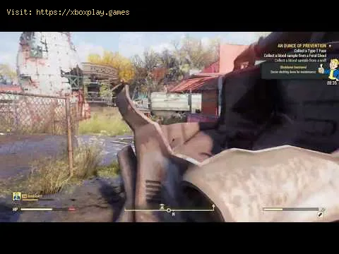 Video preview