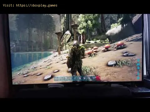 Video preview