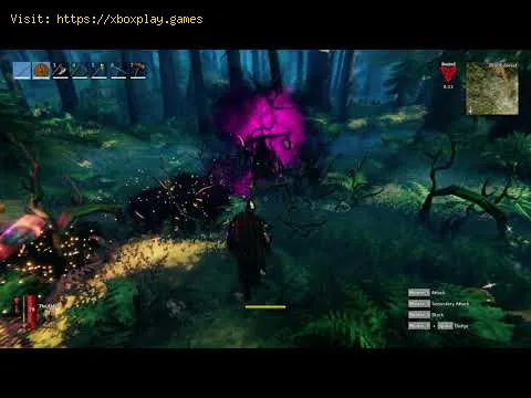 Video preview