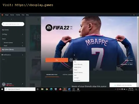 Video preview