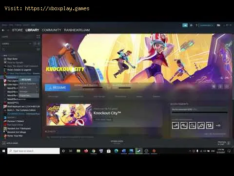 Video preview