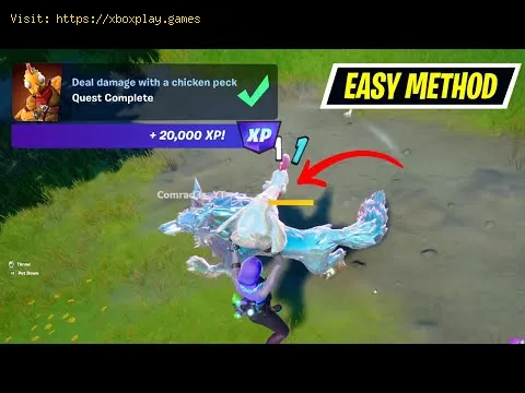 Video preview