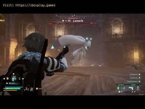 Video preview