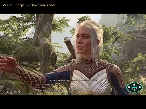 Video preview