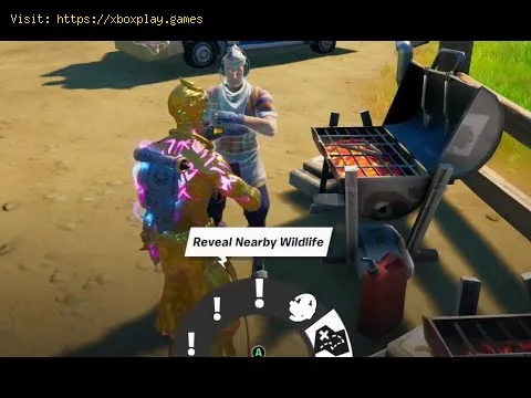 Video preview