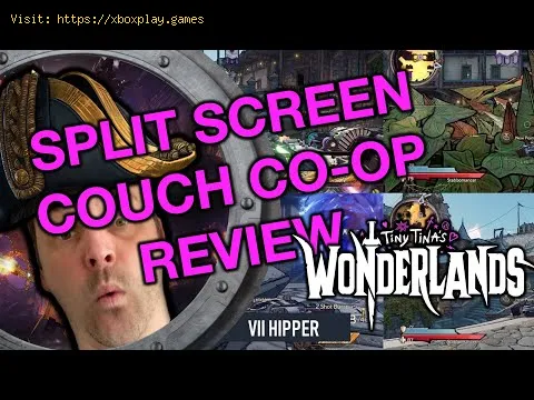 Video preview