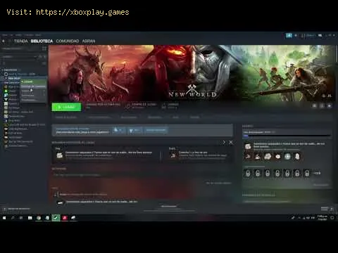 Video preview
