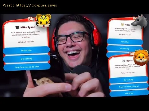 Video preview