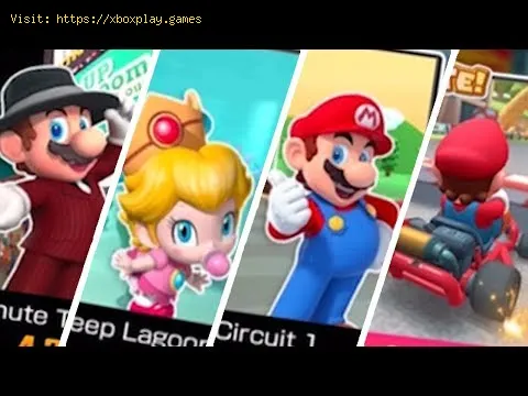 Video preview