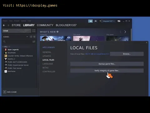 Video preview