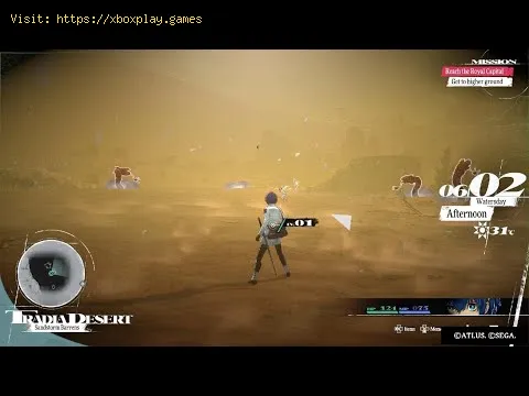 Video preview
