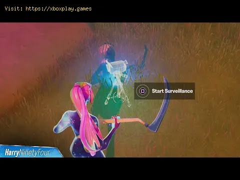 Video preview