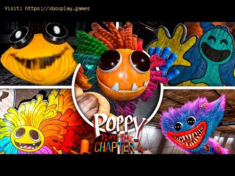 Video preview