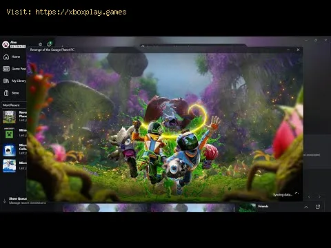 Video preview