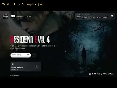 Video preview