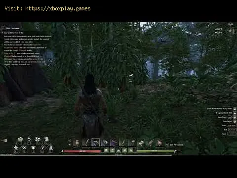 Video preview