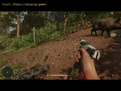 Video preview