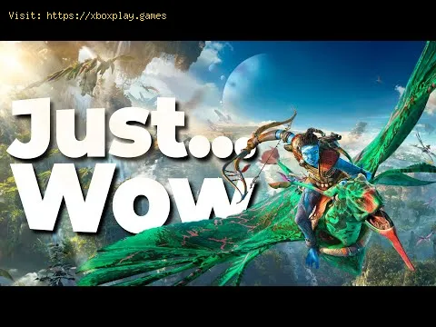 Video preview
