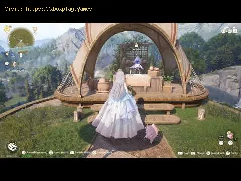 Video preview