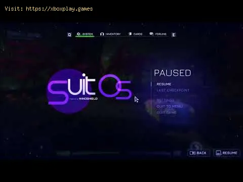 Video preview