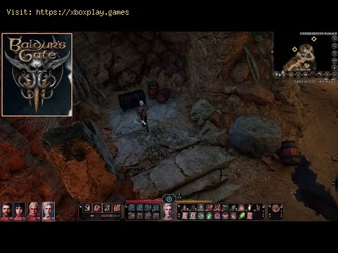 Video preview