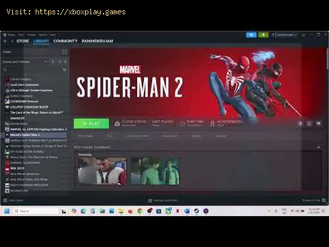 Video preview
