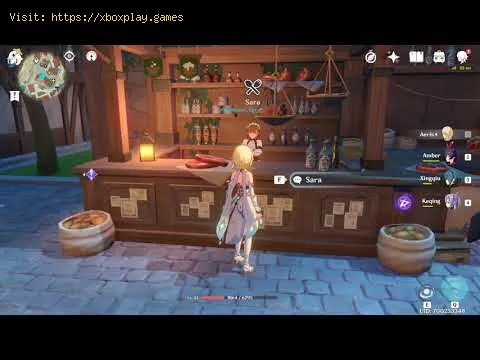 Video preview