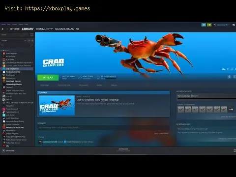 Video preview