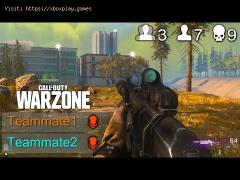 Video preview
