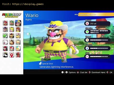 Video preview