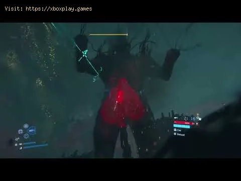 Video preview