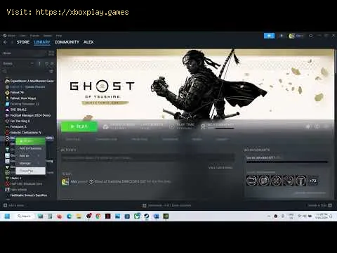 Video preview
