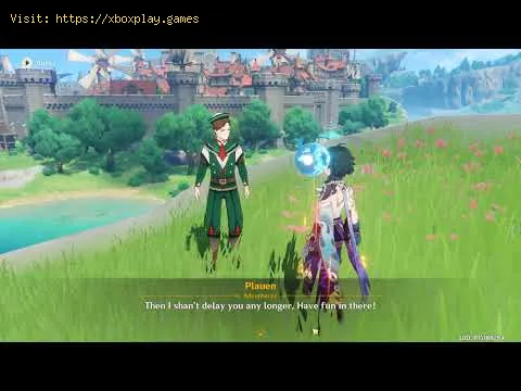 Video preview