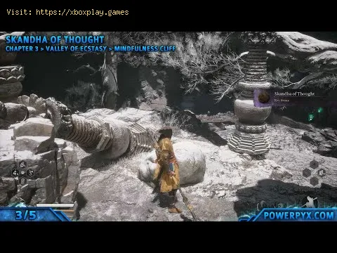 Video preview