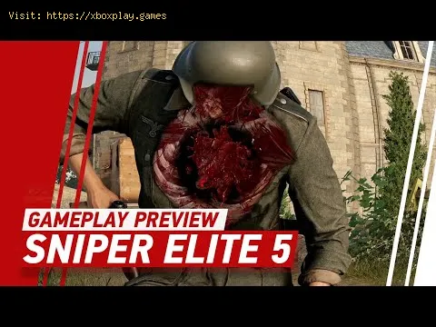 Video preview
