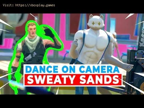 Video preview
