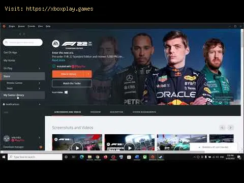Video preview