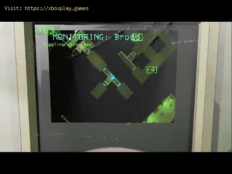 Video preview