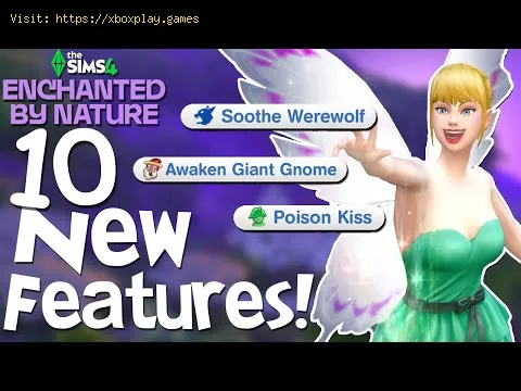 Video preview