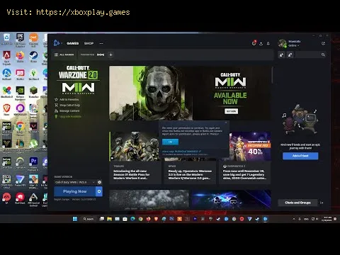 Video preview