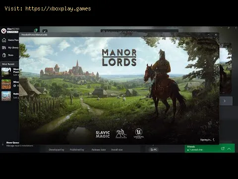 Video preview