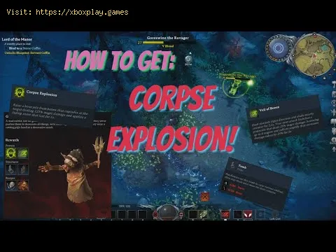 Video preview
