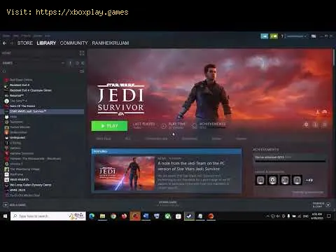 Video preview