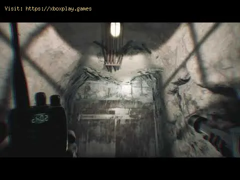 Video preview